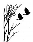 Birds.Birch_
