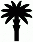 palmtree4