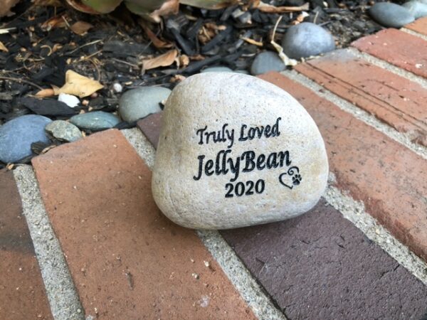 Sign.Pet .Rock .JellyBean.2 21